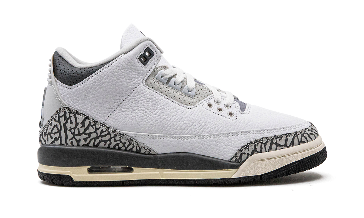 Air Jordan 3 GS Hide N Sneak DX6665 100